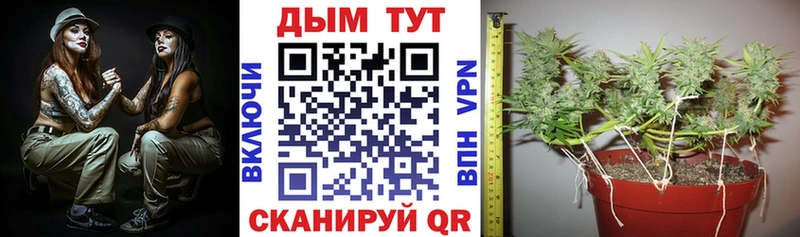 где продают   Пугачёв  Бошки Шишки AK-47 